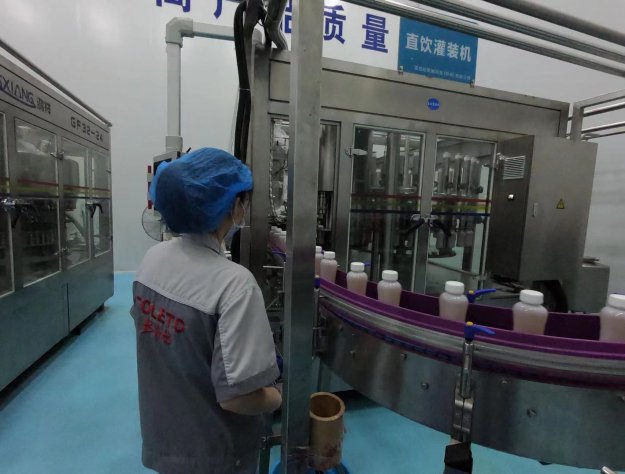 紅茶菌飲品生產(chǎn)車間